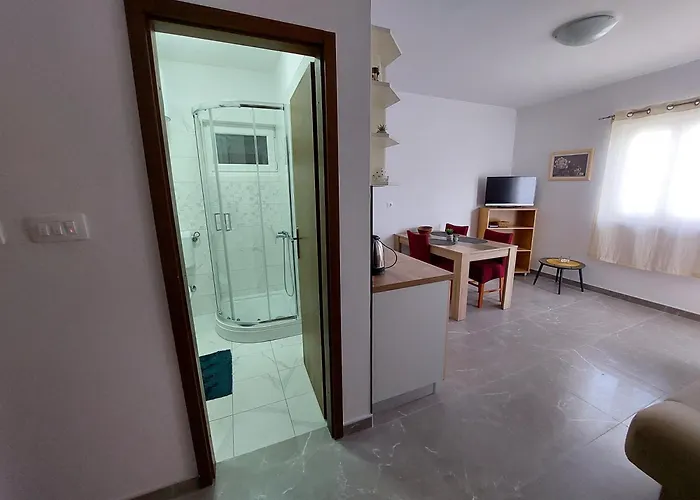 公寓 Nenad & Marija