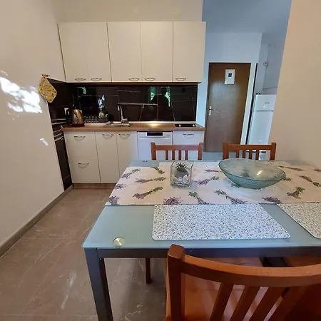 شقة Nenad & Marija *